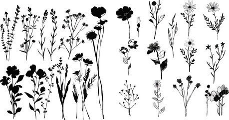 Spring flowers hand drawn vector set monochrome botanical illustration