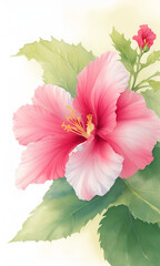 Hibiscus flowers in bloom on branches in garden. Bouquet of flower watercolor painting. Beautiful flower. Lovely flower. Branch of hibiscus flower bouquet . Banner.
