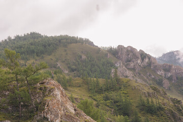 A young girl standing on top of a mountain throws her hands up. Conquering, overcoming fear, anxiety, stress. The concept of victory