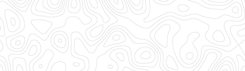 Abstract white topography vector background. Topographic map. Geographic mountain relief. counter map wavy line paper textrue. grid curve line abstract vector illustration .