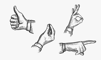 Vector illustration of a set of male hand gestures. Pointing finger, like or thumb up, Italian gesture and ok sign. Hand drawn vintage engraving style. - obrazy, fototapety, plakaty