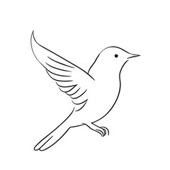 bird, vector illustration line art