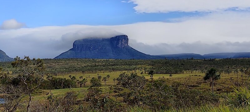 Great Savannah (Gran Sabana), Venezuela