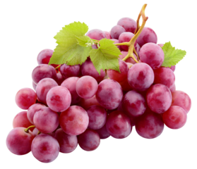 Grapes transparent PNG. Red grapes isolated on transparent or white background. Red grape with leaves.