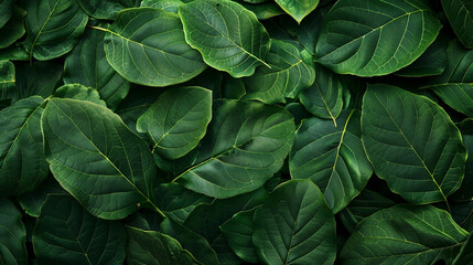 background of green leaves, close-up, top view. Loseup background of tropical green leaves. Flat lay, banner concept with fresh wallpaper, texture.Generative AI.