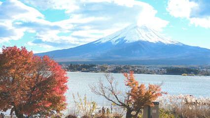 Autumn Season of Mountain Fuji at lake Kawaguchiko, Japan