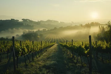 Papier Peint photo Toscane Dawn's Embrace Over Tuscan Vineyards