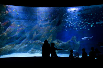 Silhouette enfant devant un aquarium géant et des requins.