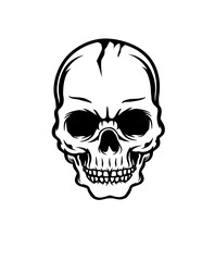 Skull Illustration, Skeleton Head Stencil, Skull Clipart, Human Skull Cut File, Skeletal Head Skull Vector