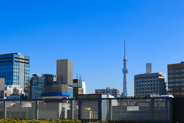 【東京都台東区】上野周辺からの青空風景