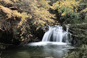 Obraz premium 奈良県の明日香村の稲渕にて