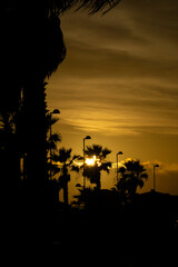 Zachód słońca między palmami, Wyspy Kanaryjskie, Fuerteventura, La Oliva
