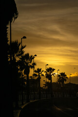 Zachód słońca między palmami, Wyspy Kanaryjskie, Fuerteventura, La Oliva