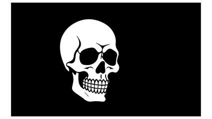 shape of a skull on black background in vector