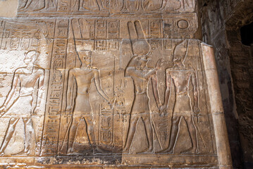 Alexander the Great as an Egyptian pharaoh in Luxor Temple in Luxor, Egypt - 753041624