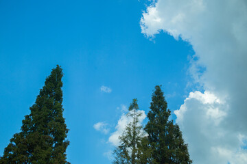 blue sky with clouds