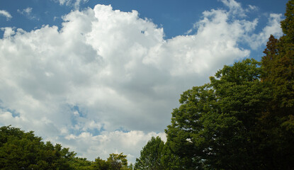 blue sky with clouds