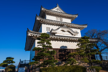 Obraz premium 朝日を浴び青空に映える天守閣