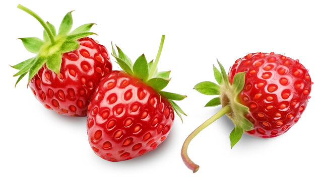 Three ripe wild strawberries isolated on a transparent background.