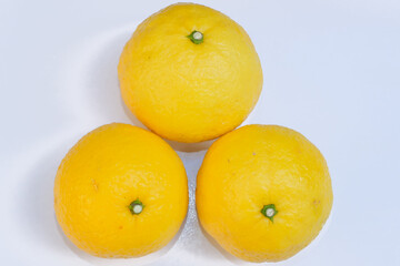 白背景で撮影したはるか