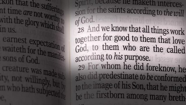 5 Romans 5:28 Bible quote page verse religious christianity.m