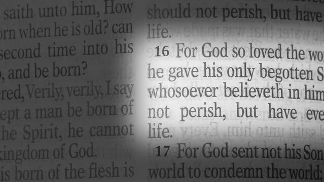 6 John 3:16 Bible quote page verse religious christianity