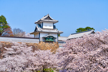 金沢市を代表する観光スポット「春の金沢城」。桜のお花見シーズンがお勧め。写真は兼六園から撮影。
