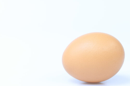 egg