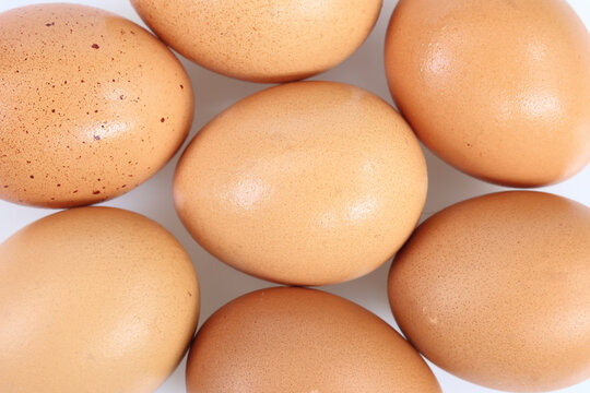 egg