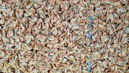 Frozen boiled shrimp in a supermarket or grocery store, close-up. Seafood