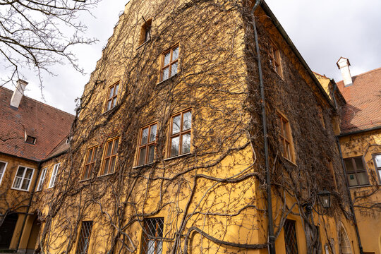 A building covered in ivy and has a red roof