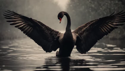 Fotobehang swan on the lake © atonp