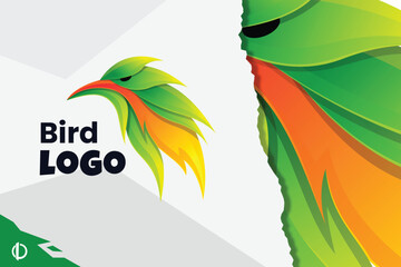 Modern Bird gradient logo design, All elements in this template are fully editable, Vector design.