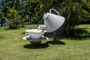 tropical landscape in natural conditions on a sunny day in the Seychelles