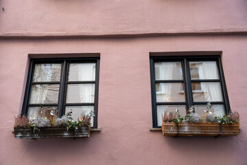 Fototapeta na wymiar Two windows with potted plants in front of them