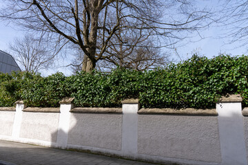 A white wall with a green hedge on the side