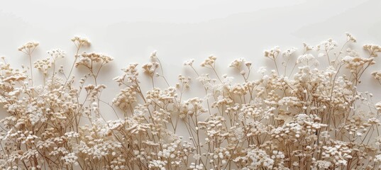 Beautiful white abstract autumn minimalist background with soft textures and elegant design elements