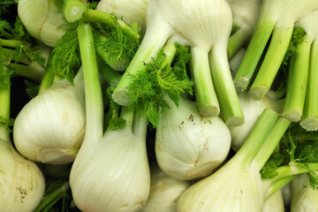 Stack of Florence fennel bulbs on a market stall