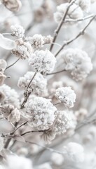 Elegant spring abstract background in soft white hues for a minimalistic and serene design concept