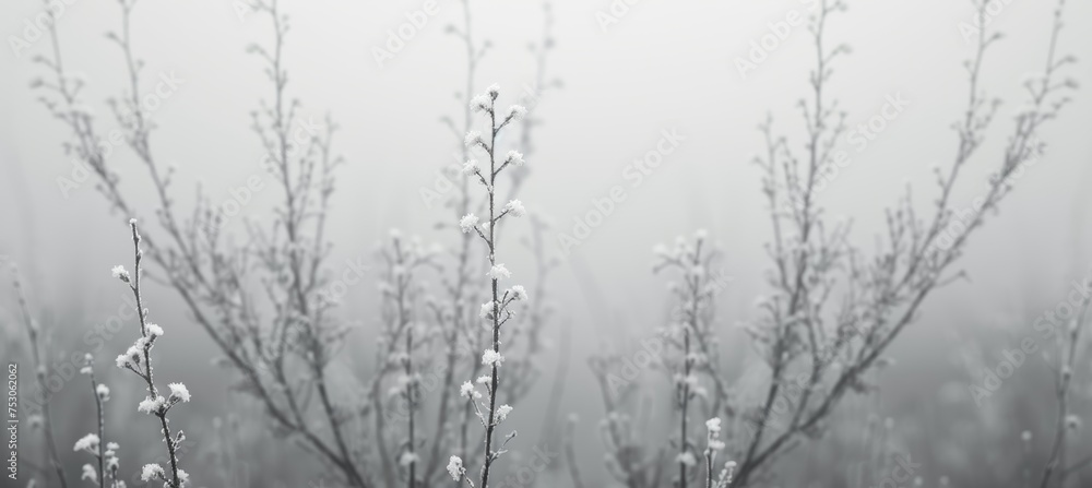 Poster beautiful white abstract autumn minimalistic background with soft tones and elegant design