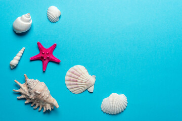 Creative seashells composition on blue background. Summer minimal concept.