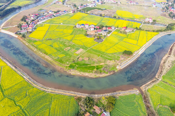 Aerial photography of rural rapeseed fields in Chuanwan Town, Liling City, Hunan Province
