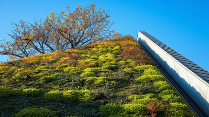 Extensive green roof covered with low perennials and sedum - 753063472