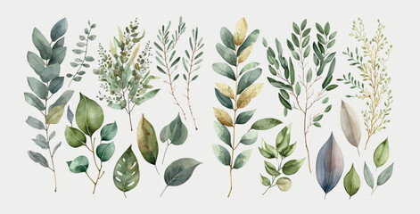 Fototapeta na wymiar Watercolor floral illustration set - green leaf branches collection. Decorative elements template. Flat cartoon
