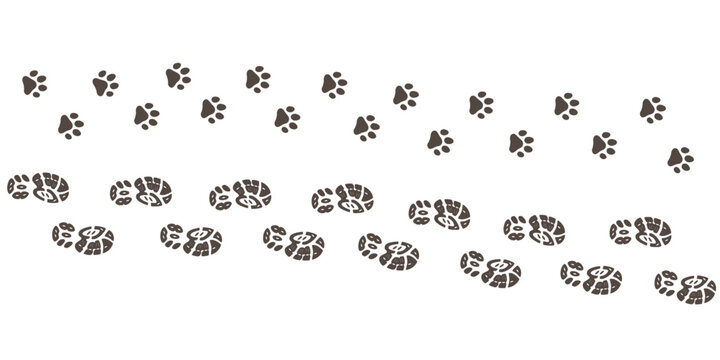 Human step footprints and pawprints paths. Step by step vector isolated on white background. Trace of children's footprints of person in boots and pawprint. Road of human feet and cat's paws.