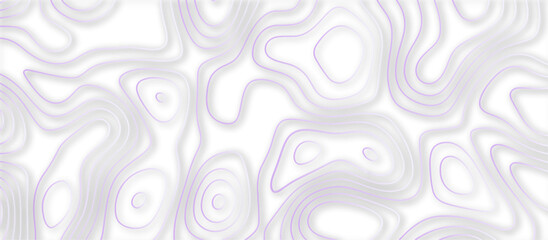 Abstract topographic contours 3d map background .topographic line texture background .monochrome image .stylized height of the topographic map contour in lines.	