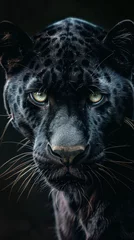 Foto op Plexiglas a black panther close-up portrait looking direct in camera with low-light, black backdrop. Portrait of a black panther looking as predator. Black Jaguar. Black leopard. Melanistic Feline © PAOLO