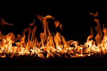 firestorm. Fire burning. Bright burning flames on a black background. Wall of Real fire, abstract...