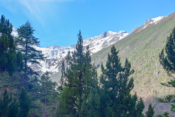 Huanglong Scenic Area Summer View in Sichuan Province, China