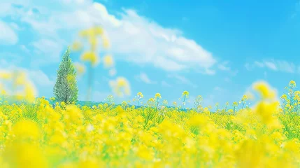 Keuken spatwand met foto Vibrant spring flower meadow under blue sky with blurred background and copy space for text © Ilja